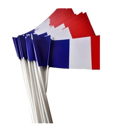 5 lot de 50 drapeaux - DRAPEAU EN PAPIER 14 X 21 FRANCE